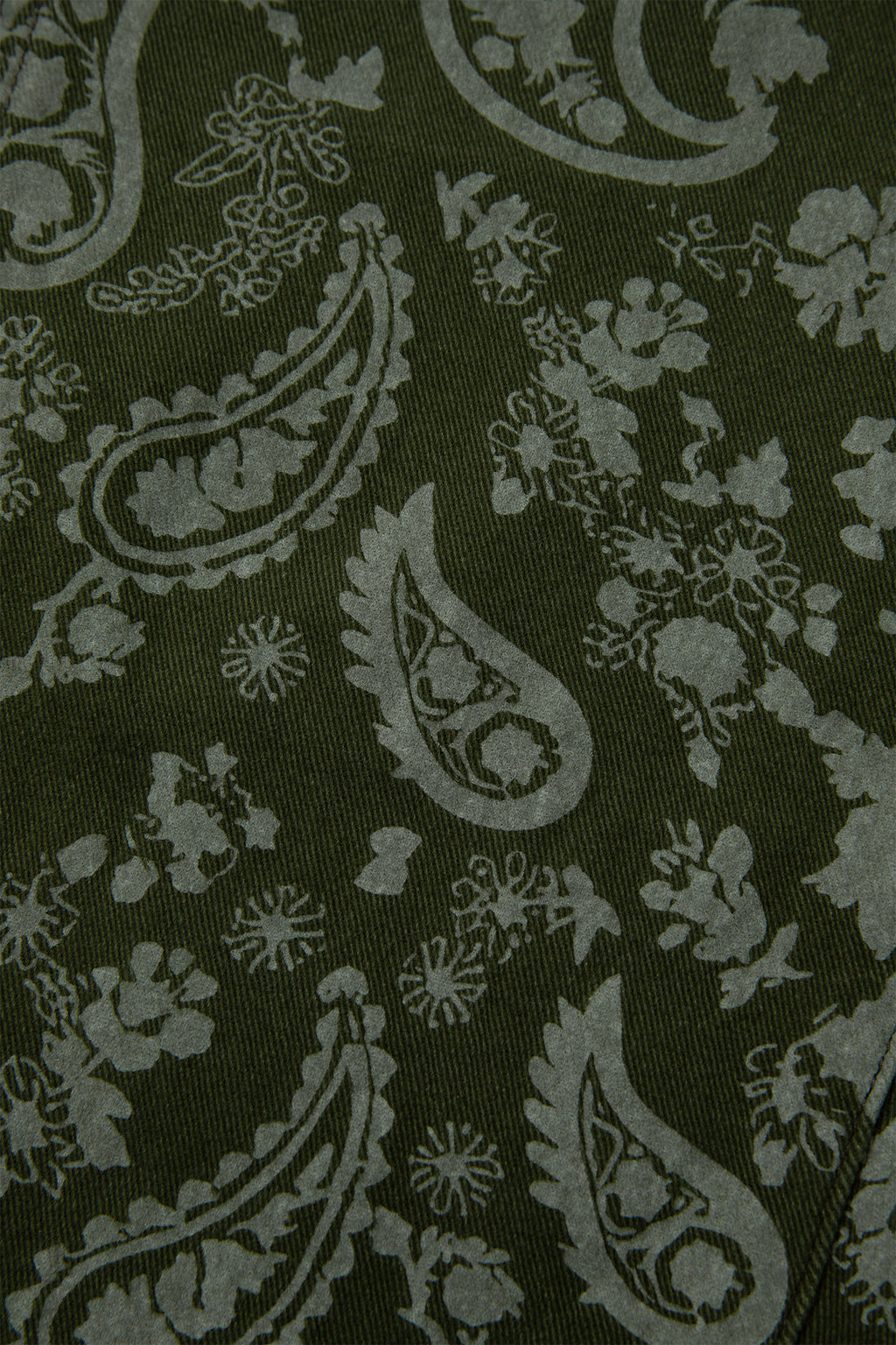 Green Paisley Print Harem Denim Pants